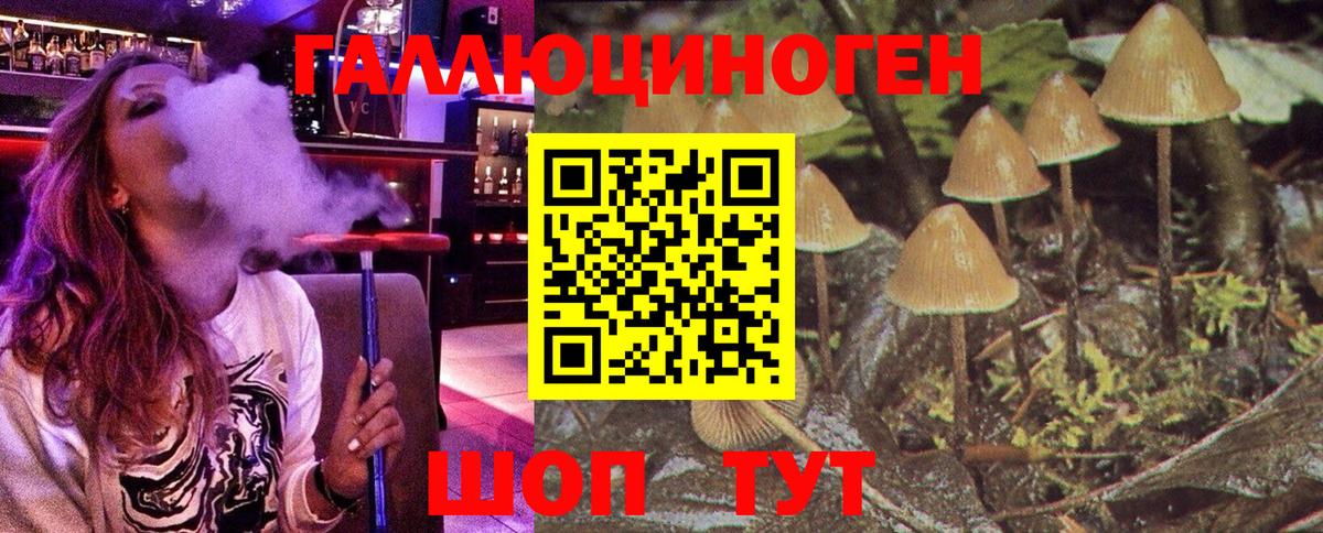где купить наркоту  Галлюциногенные грибы Psilocybe  Вход с VPN  Барабинск 