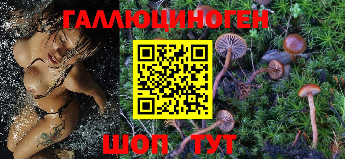 Галлюциногенные грибы мицелий Барабинск